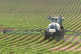 Ribbon Blender for Herbicides